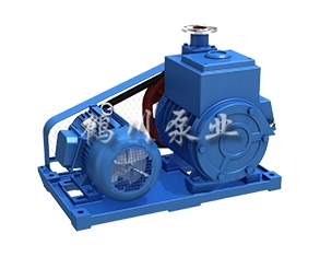 2X型雙級(jí)旋片式真空泵